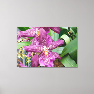 Impresión de lienzo estirado de orquídeas de estre