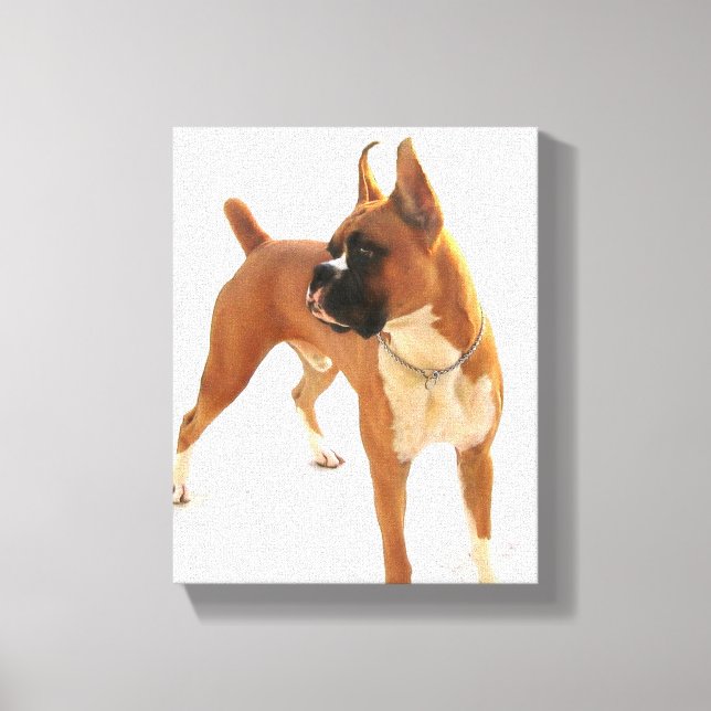 impresión de lienzo estirado de perro boxer (Anverso)