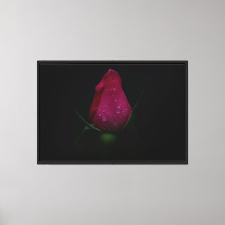 Impresión de lienzo estirado de rosa rosa