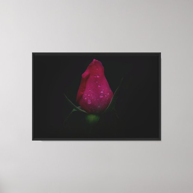 Impresión de lienzo estirado de rosa rosa (Anverso)