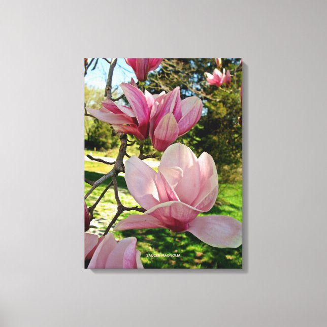 Impresión de lienzo estirado floral de magnolia ro (Anverso)