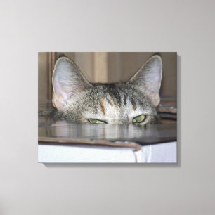 Impresión de lienzo estirado Peekaboo Cat 20"x16"