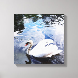 Impresión de lienzo estirado SWAN SWIMMING