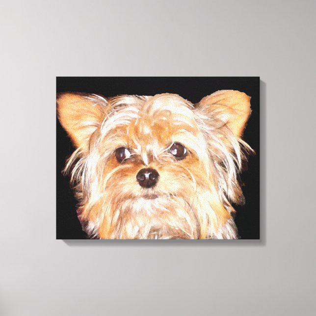 Impresión de lienzo extendido en Yorkshire Terrier (Anverso)