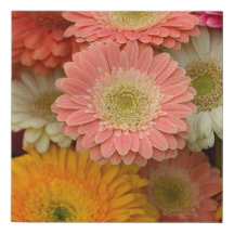 Impresión de lienzo floral de Gerbera Daisy