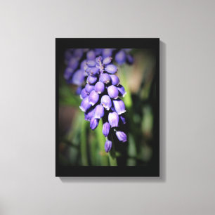 Impresión de lienzo floral de Hyacinin de uva