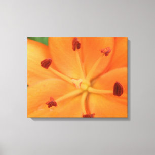 Impresión de lienzo floral de lirio naranja
