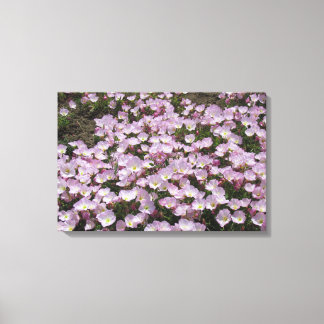 Impresión de lienzo - Flores de rosa primosa