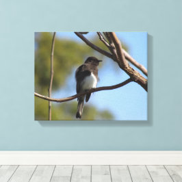 Impresión de lienzo - Flycatcher en árbol