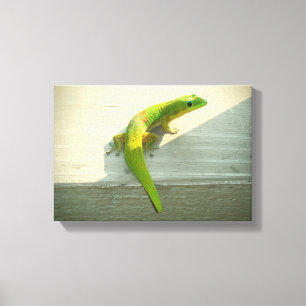 Impresión de lienzo gecko hawaiano