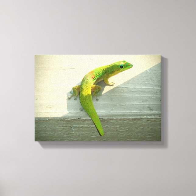 Impresión de lienzo gecko hawaiano (Anverso)