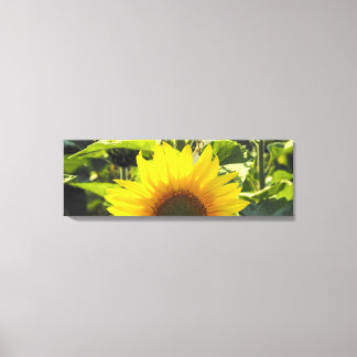 Impresión de lienzo girasol (36X12)
