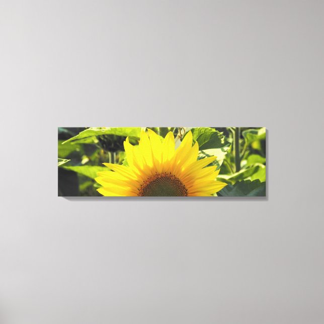 Impresión de lienzo girasol (36X12) (Anverso)