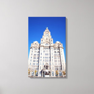 Impresión de lienzo hepático