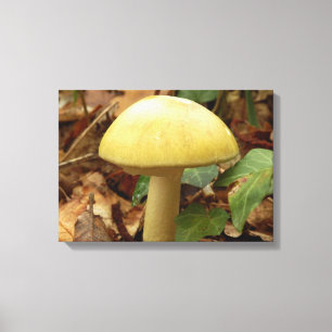 Impresión de lienzo hondo Deathcap