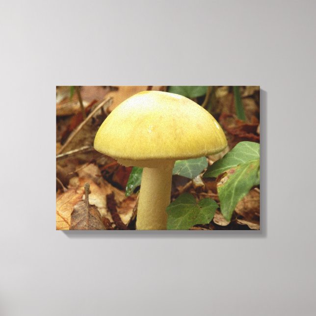 Impresión de lienzo hondo Deathcap (Anverso)