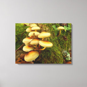Impresión de lienzo hongo hipholoma fasciculare