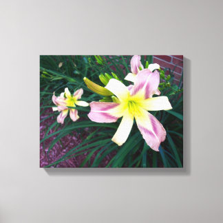 Impresión de lienzo lirio pequeño 14X11 morado/ama