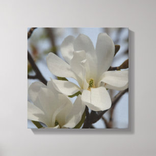 Impresión de lienzo magnético blanco