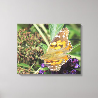 Impresión de lienzo - Mariposa Naranja