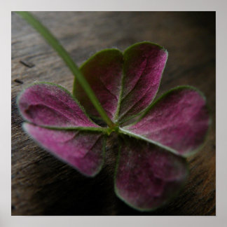 Impresión de lienzo 'naturelovesyou'