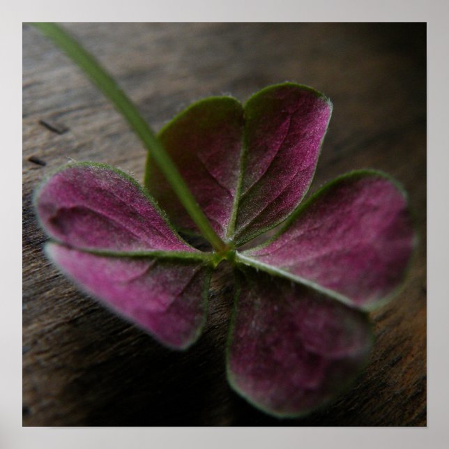 Impresión de lienzo 'naturelovesyou' (Frente)