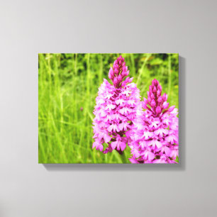 Impresión de lienzo orquídeo piramidal