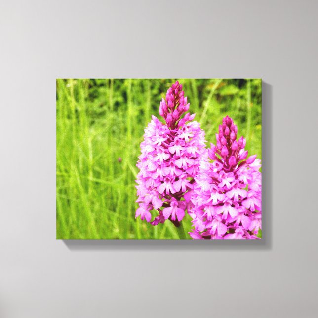 Impresión de lienzo orquídeo piramidal (Anverso)