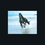 Impresión de lienzo para Caballo Negro<br><div class="desc">¡Huella de tela de caballos negros!</div>