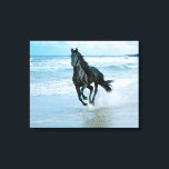 Impresión de lienzo para Caballo Negro<br><div class="desc">¡Huella de tela de caballos negros!</div>