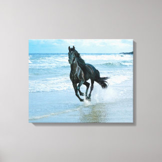 Impresión de lienzo para Caballo Negro