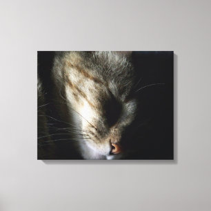 Impresión de lienzo para gato dormido de 20"x16"