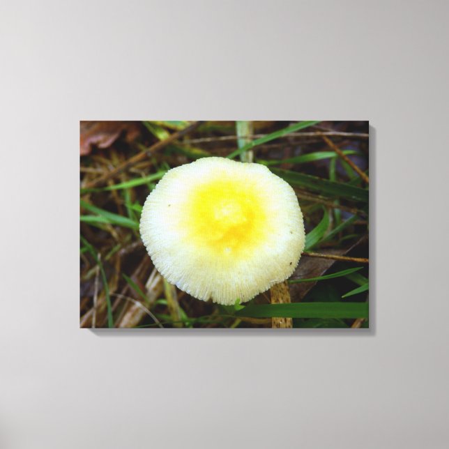Impresión de lienzo para hongos de campo amarillo (Anverso)