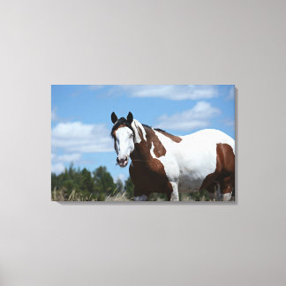 Impresión de lienzo Personalizado Mustang (30,18"x