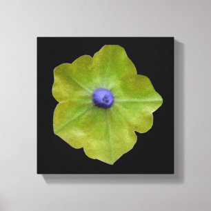 Impresión de lienzo Petunia Verde y Azul
