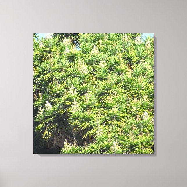 Impresión de lienzo - Plantas Yucca (2 paneles) (Anverso)