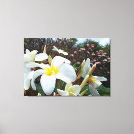 Impresión de lienzo Plumeria 1