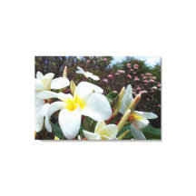 Impresión de lienzo Plumeria 1