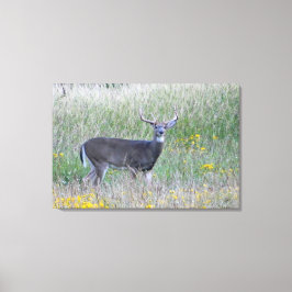 Impresión de lienzo Prince of the Meadow (ciervo)