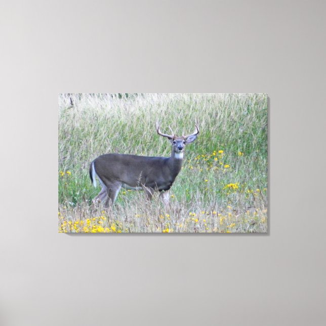 Impresión de lienzo Prince of the Meadow (ciervo) (Anverso)