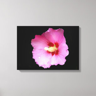 Impresión de lienzo rosa hibiscus
