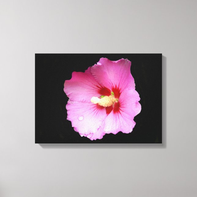 Impresión de lienzo rosa hibiscus (Anverso)