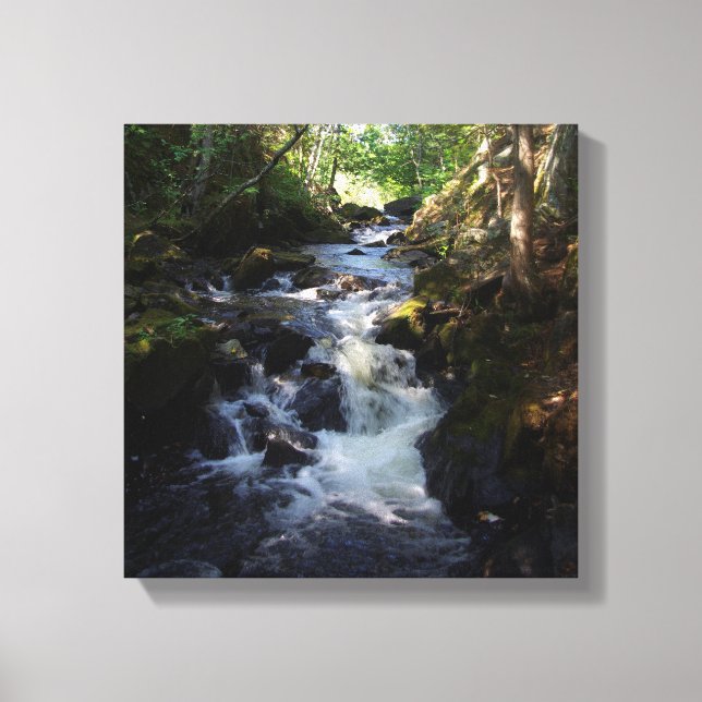 Impresión de lienzo Smally Falls (Anverso)