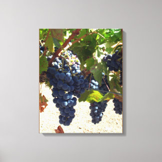 Impresión de lienzo - Uvas púrpura en vinagre