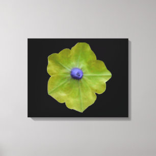 Impresión de lienzo verde y azul de Petunia