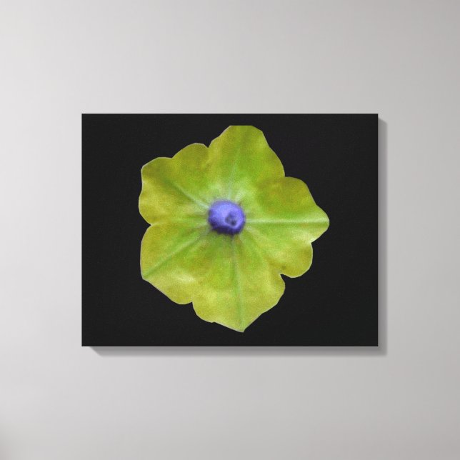 Impresión de lienzo verde y azul de Petunia (Anverso)
