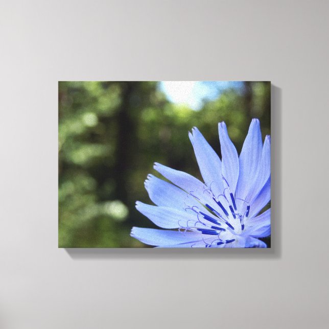 Impresión de lienzos chicharrones comunes (Anverso)