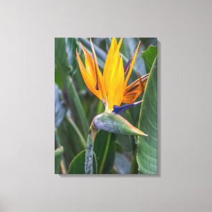 Impresión de lienzos con vistas a flores de pájaro