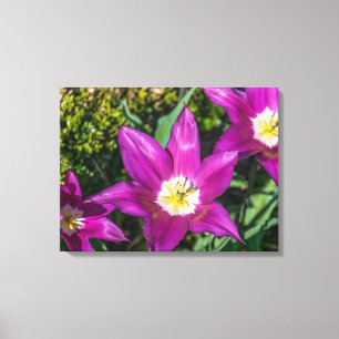 Impresión de lienzos con vistas a flores moradas y