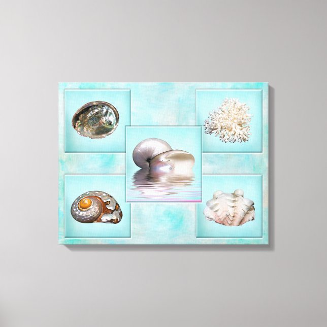 Impresión de lienzos de conchas marinas - 5 imágen (Anverso)